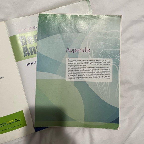 Dental Anatomy - Picture 2 of 2